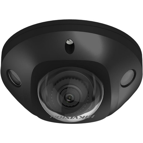 DS-2CD2543G2-IS (BLACK)