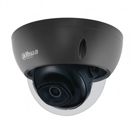 Dahua IPC-HDBW2230E-S-S2-B Dome IP Camera - 2MP Starlight PoE MicroSD Zwart