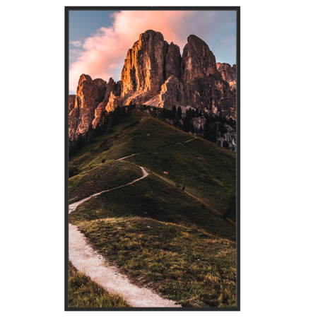 Safire Monitor 43 inch - 3500 nits voor etalages en buitenreclame