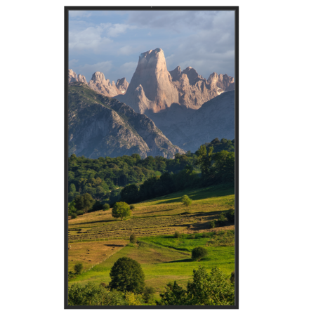 Safire Monitor 55 inch - 3500 nits High Brightness voor etalages