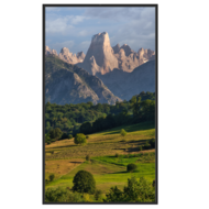 Safire Monitor 55 inch - 3500 nits High Brightness voor etalages