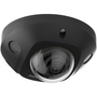 DS-2CD2543G2-IS (BLACK)
