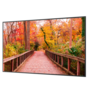 Safire Digital Signage Monitor 85 inch 4K - Android 14 voor bewegwijzering
