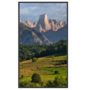 Safire Monitor 55 inch - 3500 nits High Brightness voor etalages