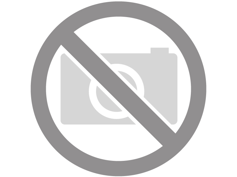 IP Kameras